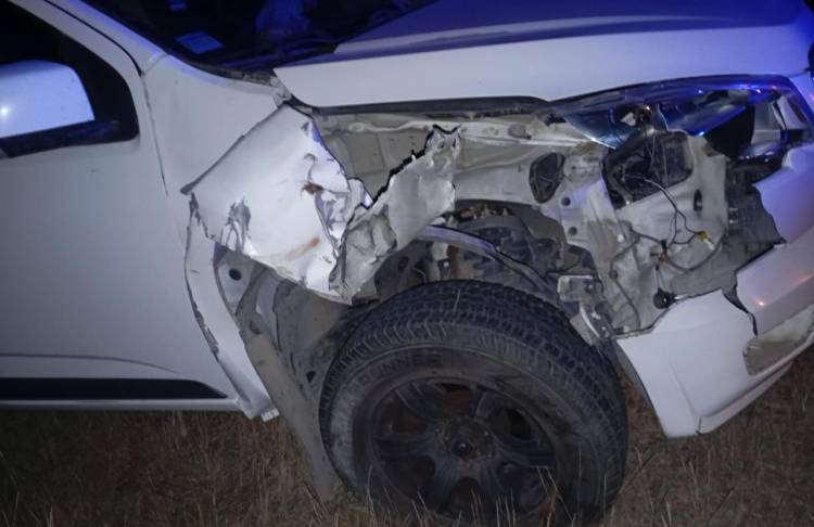Olta: Una camioneta chocó contra una vaca en Ruta 79: el conductor resultó ileso