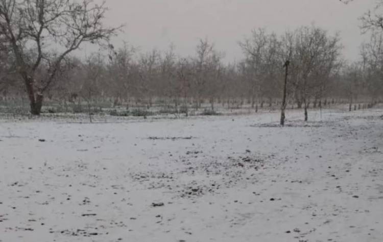 Ola polar en La Rioja: mínimas bajo cero en más de 10 localidades del interior