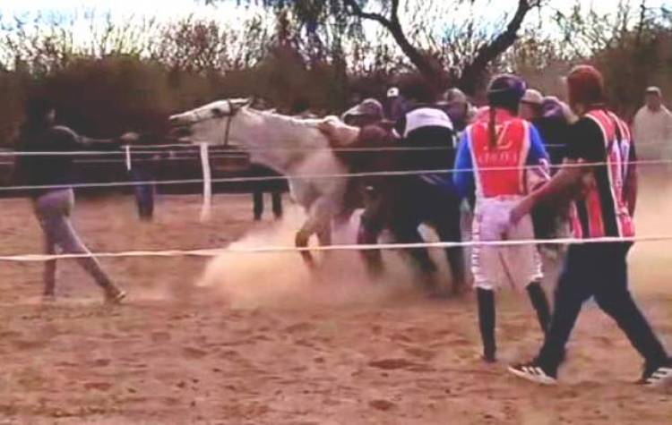 Chamical: Denuncian brutal maltrato animal durante una carrera de caballos en El Quebrachal