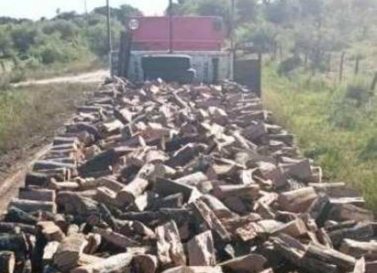 Chepes: malestar por el aumento en la guía de leña dispuesto por la secretaria de medio ambiente de la provincia