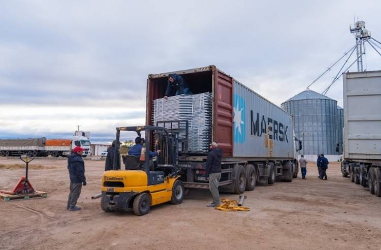 Cerdo de Los Llanos tendrá una nueva nave de gestación