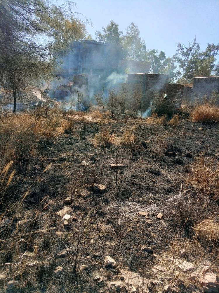 Bomberos y Policía sofocaron quema de pastizales en Milagro
