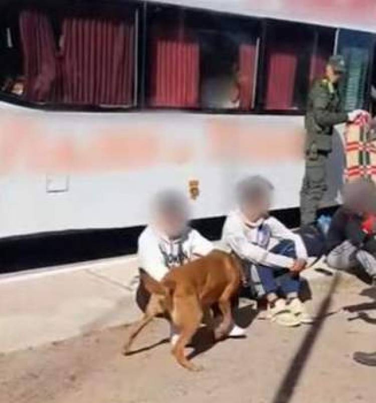 Chepes: Gendarmería detuvo a tres personas que circulaban en un ómnibus con estupefacientes en sus zapatillas
