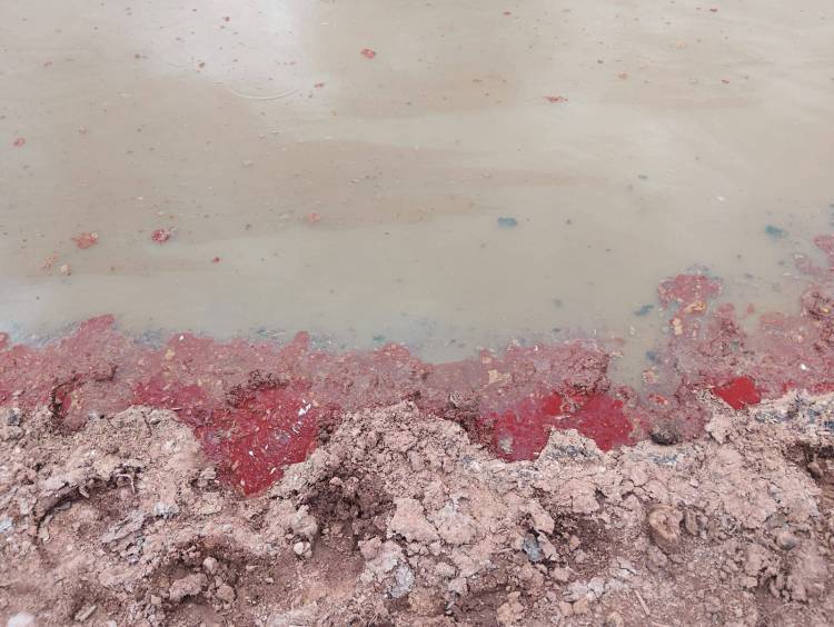 Vecinos de La Jarilla preocupados por aguas rojizas tras la tormenta de Santa Rosa