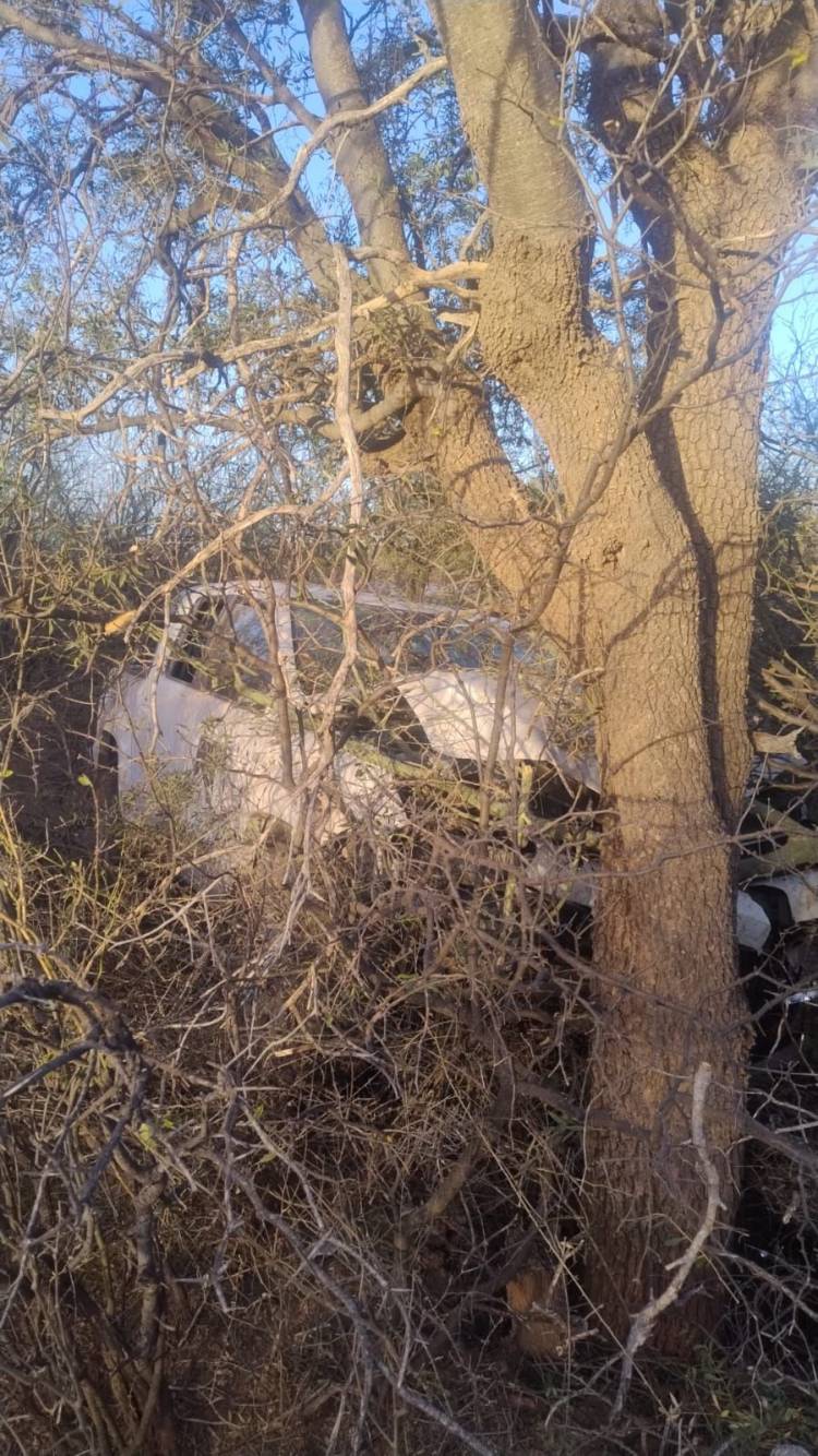 Siniestro vial en Ruta 38: una camioneta se salió de la calzada y terminó impactando contra un árbol