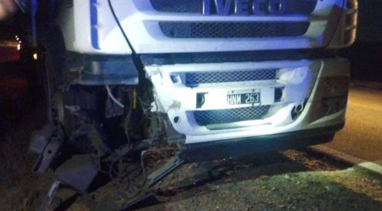 Catuna: Camión chocó una vaca en Ruta 79
