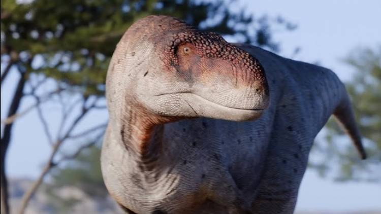Descubren en La Rioja una nueva especie de dinosaurio carnívoro: el Vitosaura