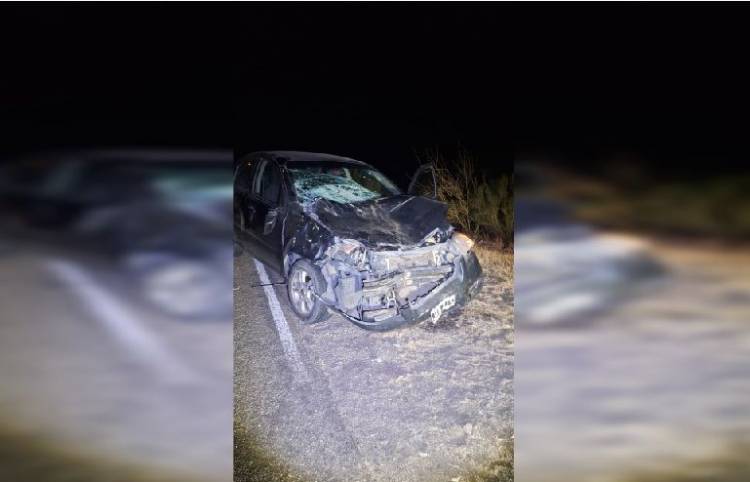 Policía resultó ileso tras colisionar con un animal vacuno en la madrugada