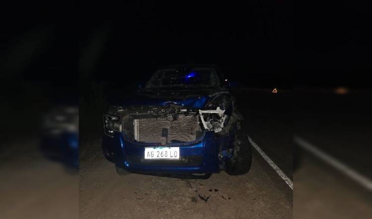 Pareja catamarqueña resultó ilesa tras chocar con una vaca en Ruta Provincial N° 9