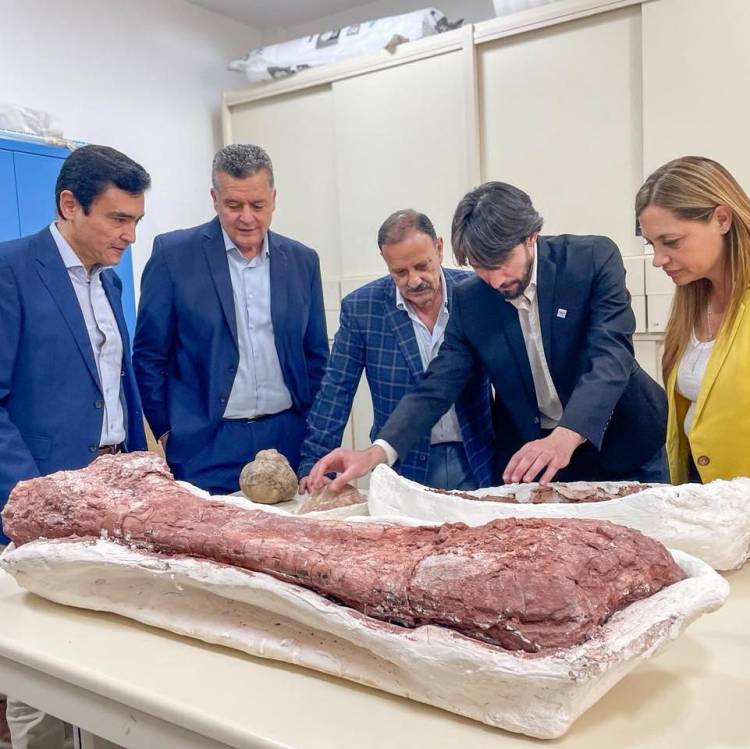 La Rioja presentó una investigación sobre dinosaurios publicada en Nature y que recorre el mundo