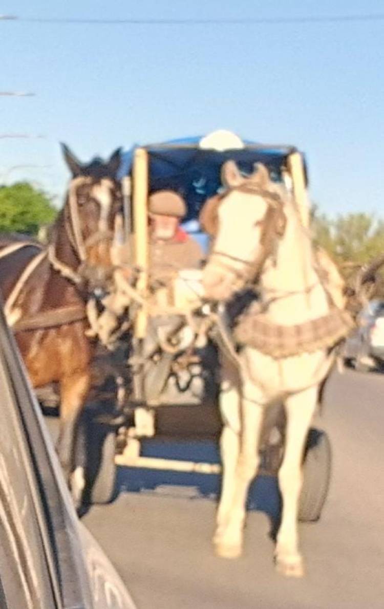Un peregrino de Córdoba recorre más de 600 km en sulky rumbo a Difunta Correa
