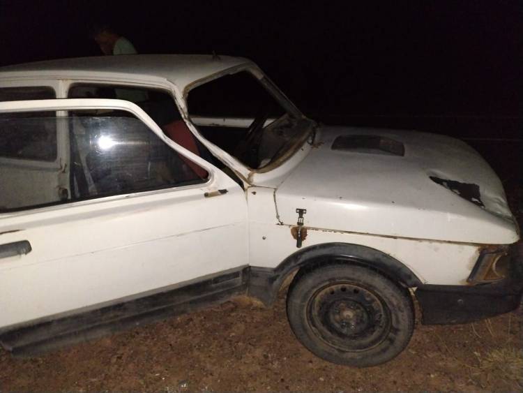 Accidente en la ruta: un auto chocó contra una vaca cerca de El Portezuelo