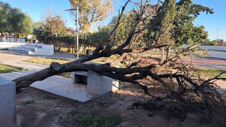 Chepes: un fuerte temporal azotó la cabecera departamental con caída de granizo