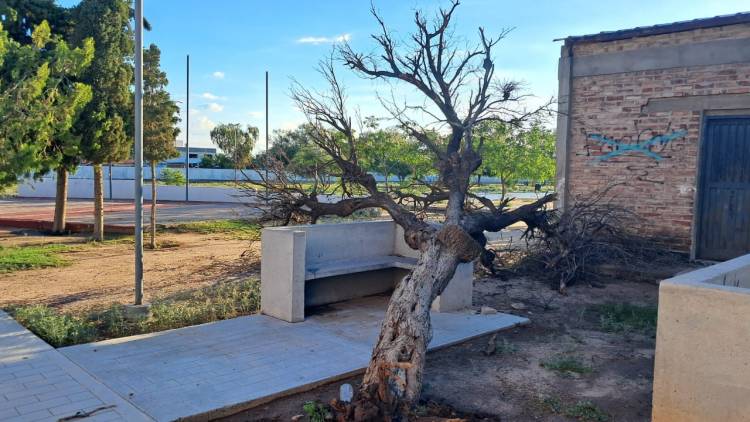 Chepes: un fuerte temporal azotó la cabecera departamental con caída de granizo