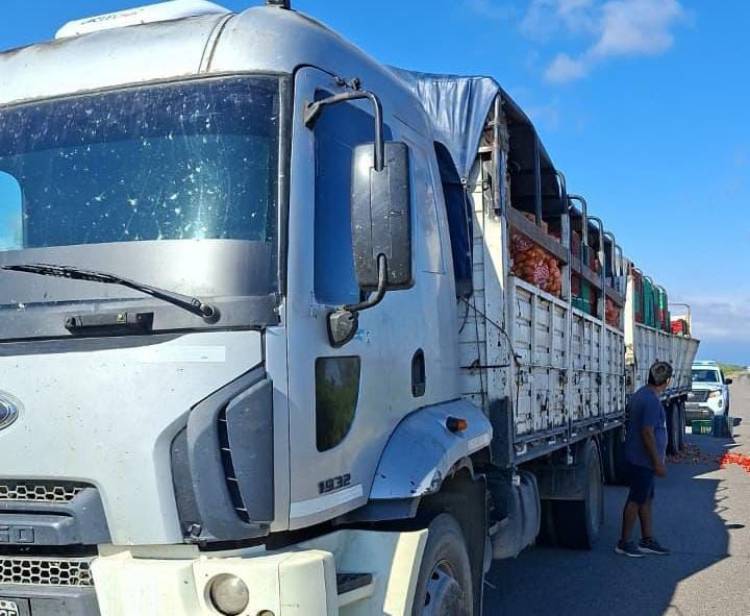 Camión perdió parte de su carga de tomates tras esquivar un bache en Ruta 141