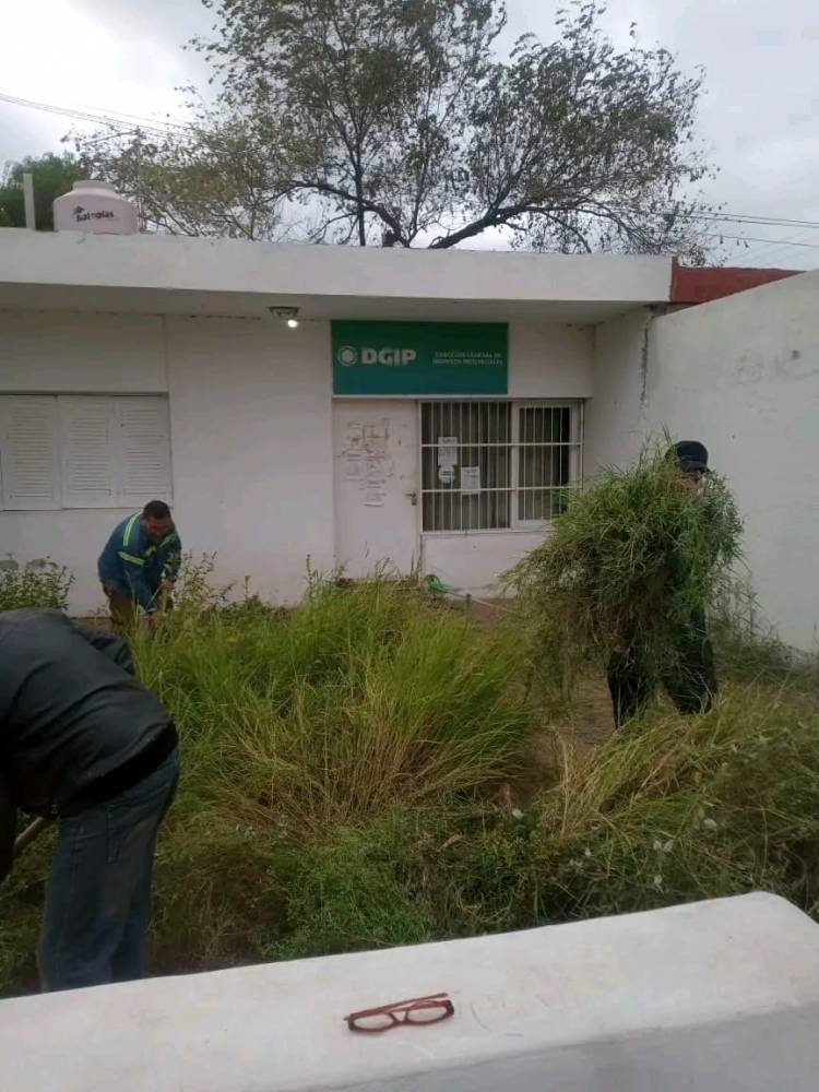 El poder de la comunidad: Vecinos de Chepess se unieron para limpiar el predio de la DGIP