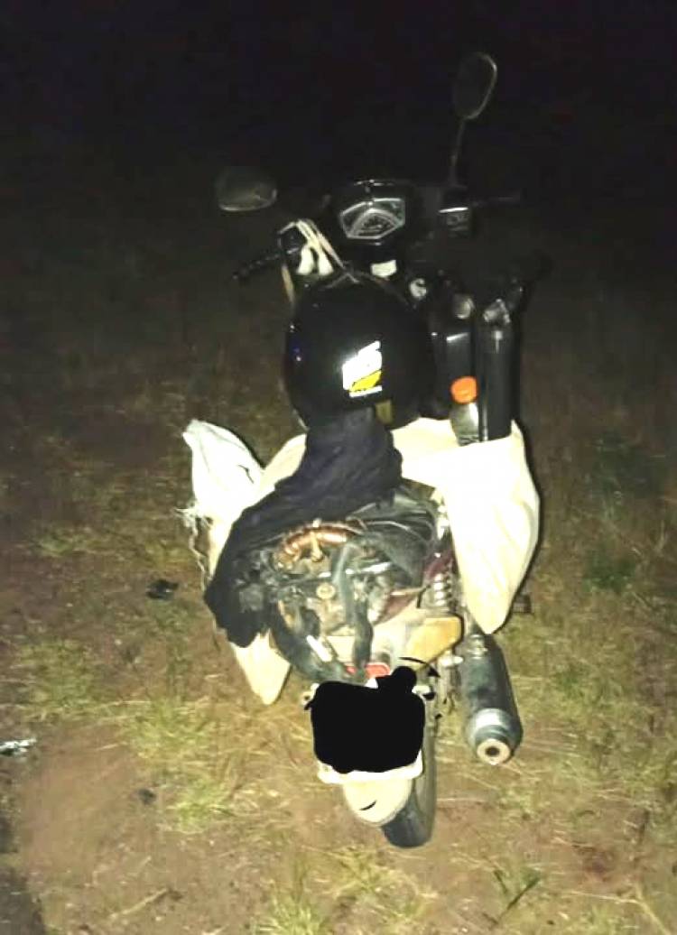 Motociclista herido tras chocar con un perro en Ruta 29