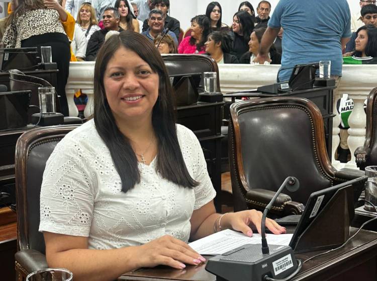 Fuerte impronta política en la agenda legislativa provincial