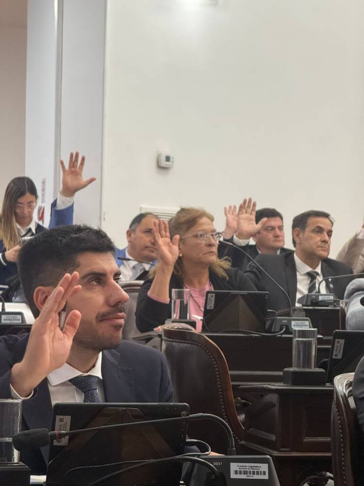 Silvia Flores llevó al recinto los reclamos del interior: salud mental, escuelas rurales y transporte en agenda