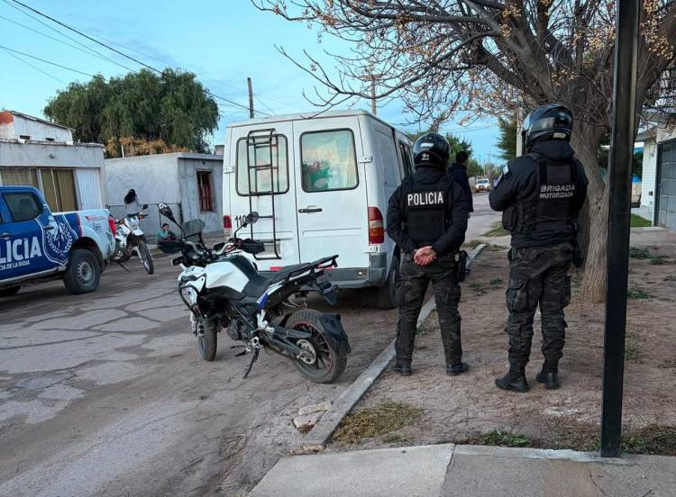 Secuestraron una planta de cannabis que era transportada en una combi en Chepes