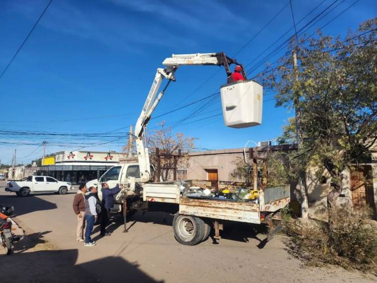 Avanzan trabajos de poda para optimizar el alumbrado público en Chepes