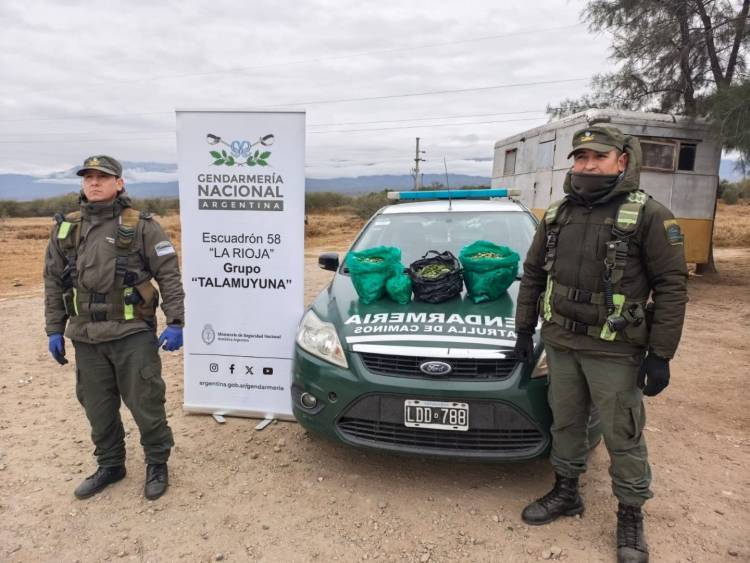 Control en La Rioja: incautan más de 19 kilos de hojas de coca en un colectivo