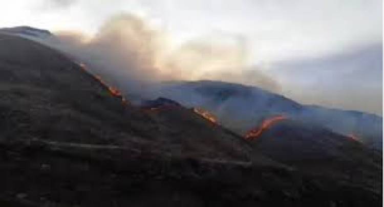 Incendio en Guanchín: la Justicia investiga si el fuego fue intencional tras una denuncia de Ambiente