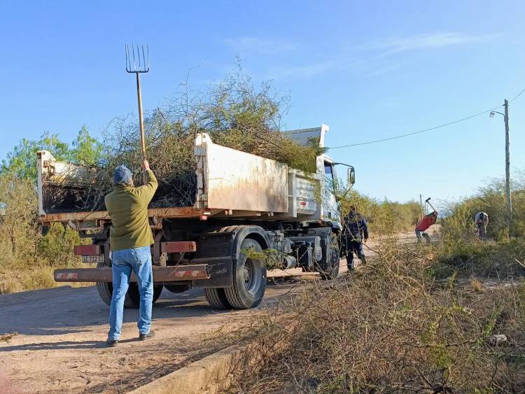 El Municipio intensifica las tareas de limpieza y mantenimiento en distintos sectores