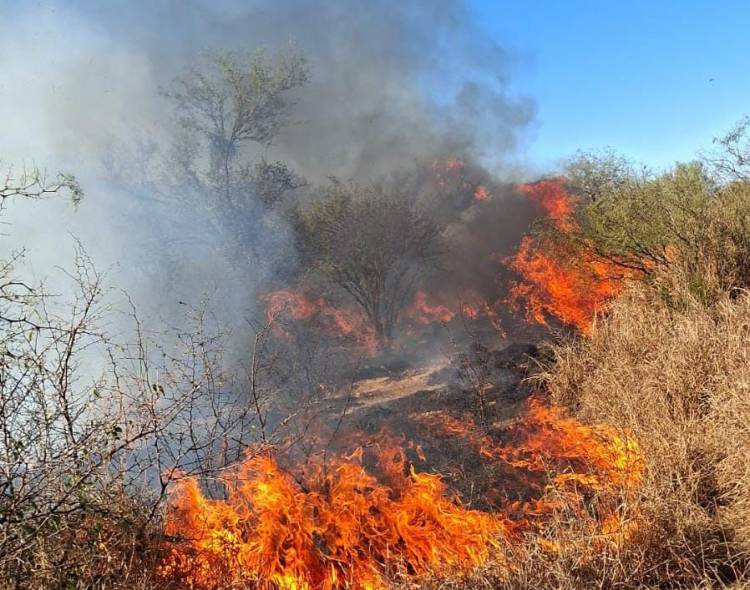Ulapes: sofocaron un incendio de pastizales que se propagó por el fuerte viento
