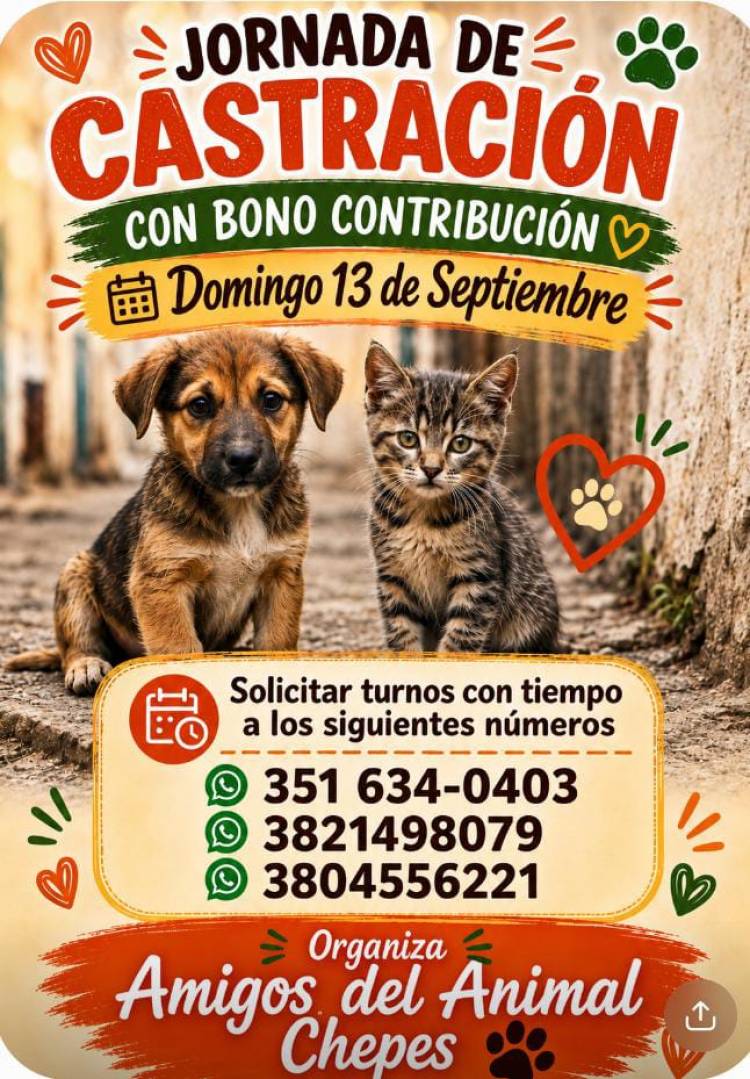 Chepes: Gran jornada de castración con bono contribución