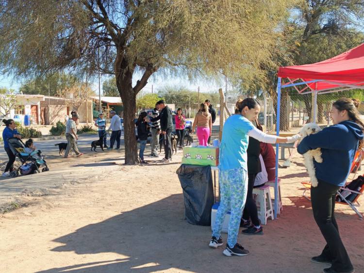 Más de 50 mascotas recibieron atención gratuita en una nueva jornada de salud animal