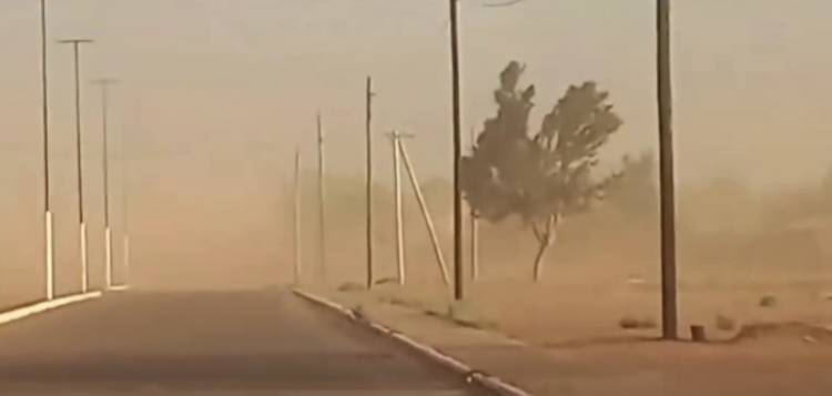 Fuerte viento Zonda azota Patquía y crece la preocupación por su avance hacia Capital