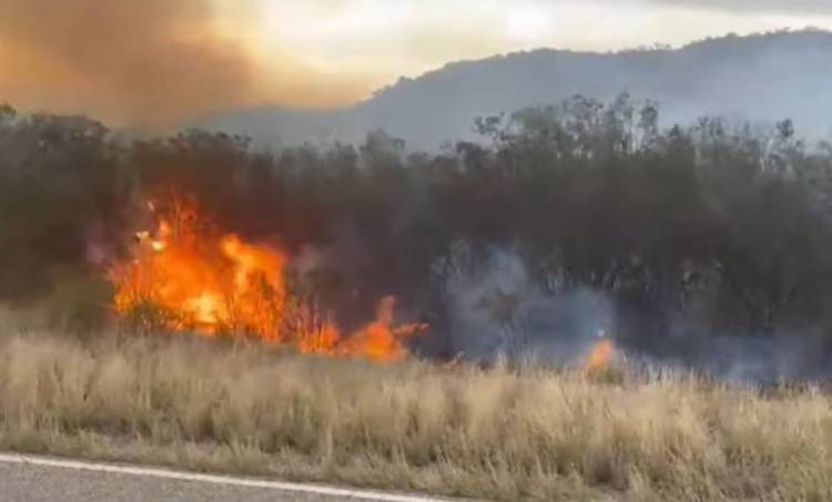 Portezuelo: un incendio de gran magnitud se propagó cerca de la Ruta 29